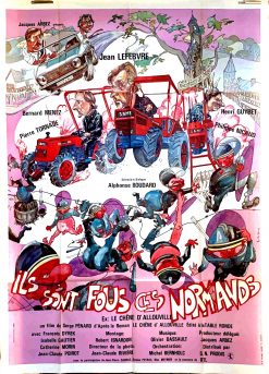 ILS SONT FOUS CES NORMANDS (120x160cm)